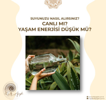 SUYUNUZU NASIL ALIRSINIZ; CANLI MI, YAŞAM ENERJİSİ DÜŞÜK MÜ? 